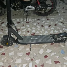 samokat