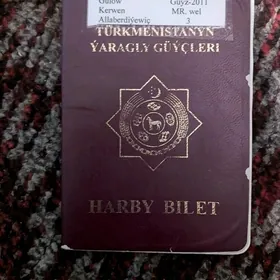 Wayyenny bilet tapyldy