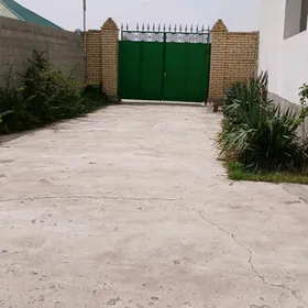 Kaka etraby Daça