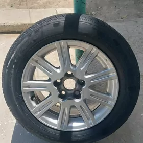Limited 1 R16