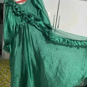вечерный койнек