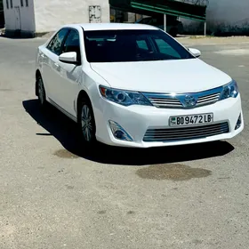 Toyota Camry 2014