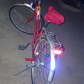 welsapet 26lyk