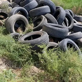 tekerler raboci mugt