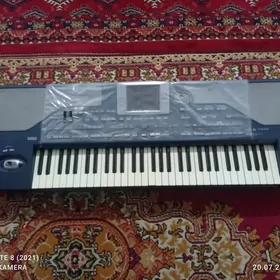 KORG PA 800