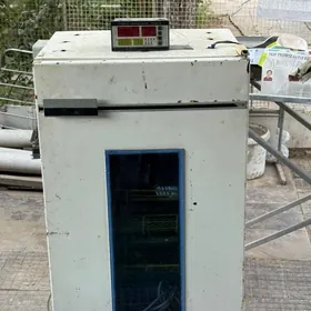 inkubator