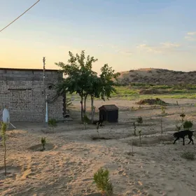 satlyk ferma mellek yer gektar