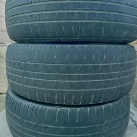 195.65.15