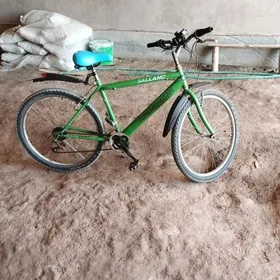Turkmenistan tigir