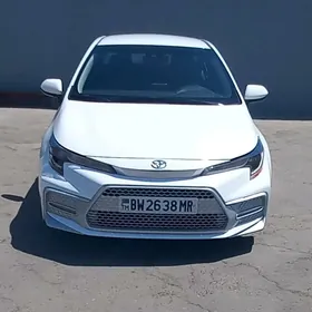 Toyota Corolla 2022