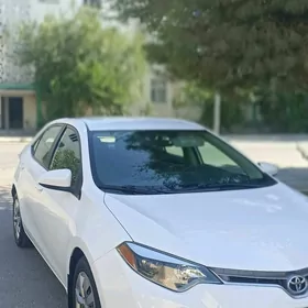 Toyota Corolla 2014