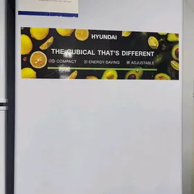 MINY HOLODYLNYKLAR ORGYNALAR