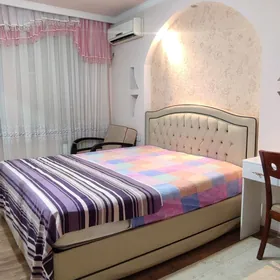 Arenda jay Mir 1