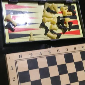 шахматы