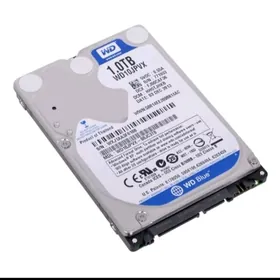 Jostkiý disk 1000g.