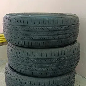 Teker 205/55/16