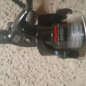 tekstalit
