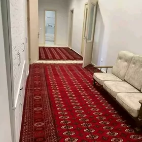 аренда элитки