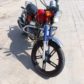 Fekon FK150-8G 2014