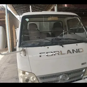 Forland H2 2010