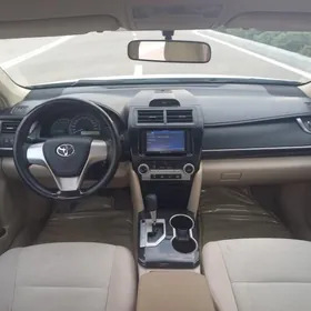Toyota Camry 2013