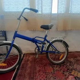 Kama welik