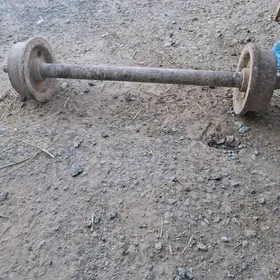 Gantel ştanga