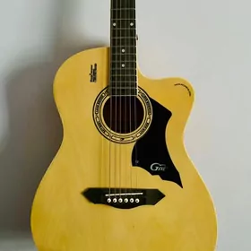 akustik gitara