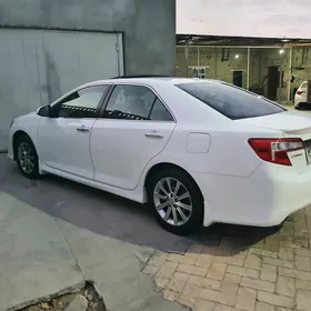 palta camry brazgawik