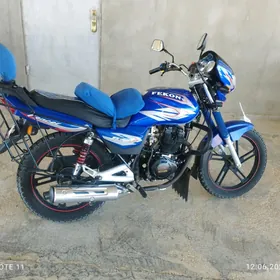 Fekon FK200-14G 2024