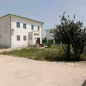 Taze zaman Тазе заман Коттедж