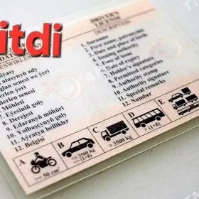 prawa yitdi потерял права