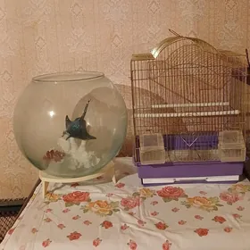 Аквариум круглый,Клетка