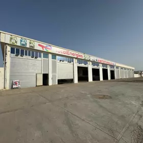 Moysik gerek