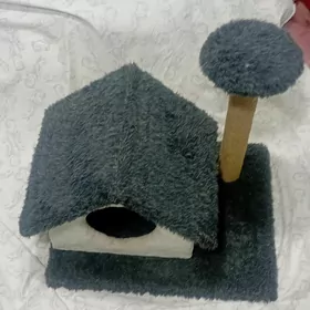 pisik ucin kamplekt