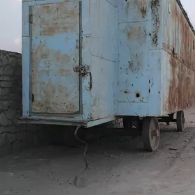Wagon