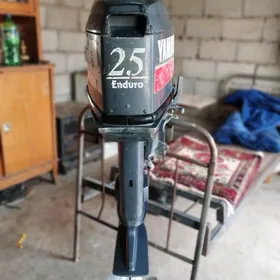 yamaha 25