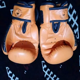 box ucn percatka