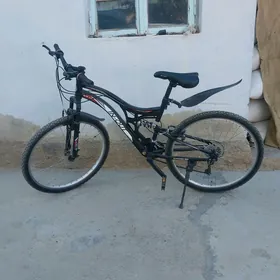 TIGIR PAKET YALY 26 LYK