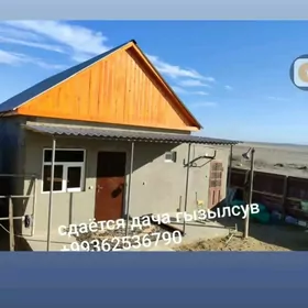 kreyne gunlik jay gyzylsuwda