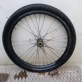 ayak