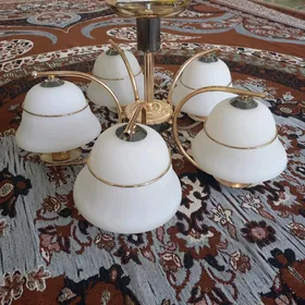 lỳustra