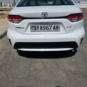 Toyota Corolla 2021
