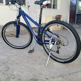 Tigir