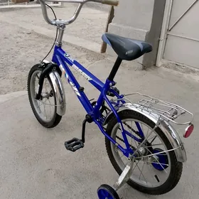 tigir 16 lyk