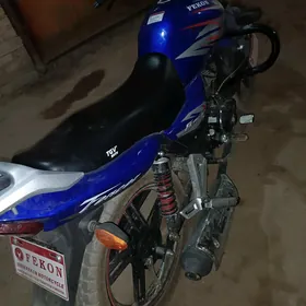 Fekon FK150-8G 2025