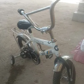 welsepit tigirler
