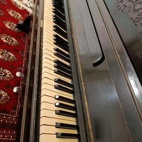 fortepiano