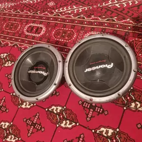 Pioneer bassbocka