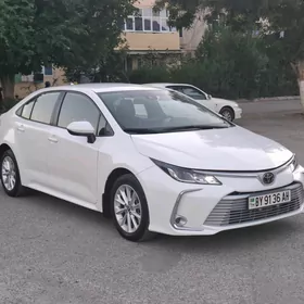 Toyota Corolla 2021